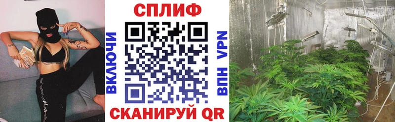 Марихуана AK-47  OMG ТОР  Шлиссельбург 